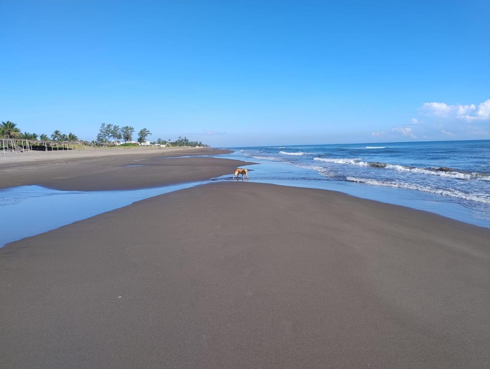 Playa Encantada Касітас Екстер'єр фото